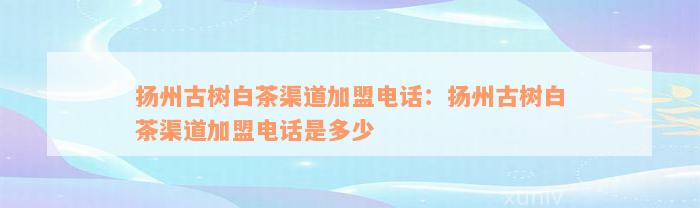 扬州古树白茶渠道加盟电话：扬州古树白茶渠道加盟电话是多少