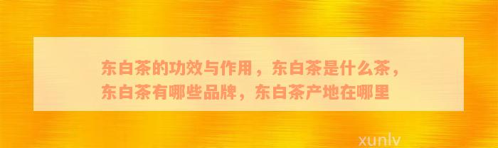 东白茶的功效与作用，东白茶是什么茶，东白茶有哪些品牌，东白茶产地在哪里