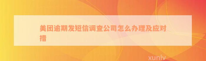 美团逾期发短信调查公司怎么办理及应对措