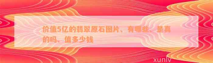 价值5亿的翡翠原石图片、有哪些、是真的吗、值多少钱