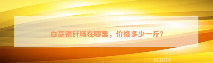 白毫银针场在哪里，价格多少一斤？