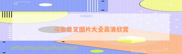 斗鱼普叉图片大全高清欣赏