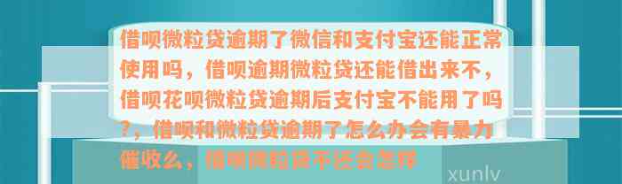 借呗微粒贷逾期了微信和支付宝还能正常使用吗，借呗逾期微粒贷还能借出来不，借呗花呗微粒贷逾期后支付宝不能用了吗?，借呗和微粒贷逾期了怎么办会有暴力催收么，借呗微粒贷不还会怎样