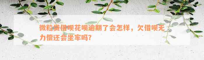 微粒贷借呗花呗逾期了会怎样，欠借呗无力偿还会坐牢吗？