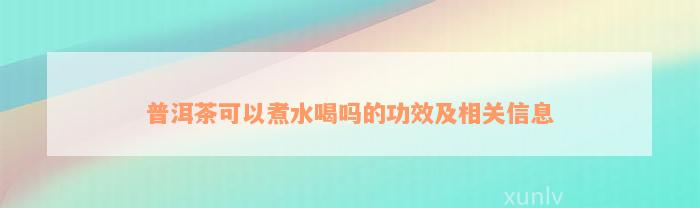 普洱茶可以煮水喝吗的功效及相关信息