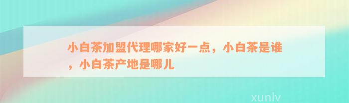 小白茶加盟代理哪家好一点，小白茶是谁，小白茶产地是哪儿