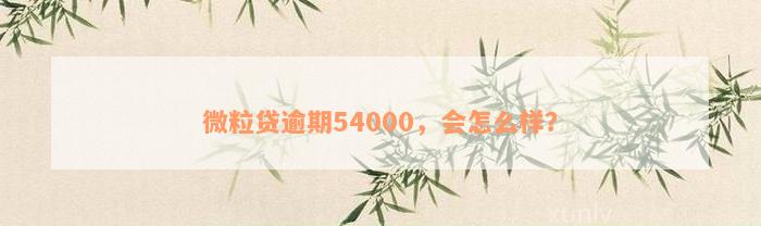 微粒贷逾期54000，会怎么样？