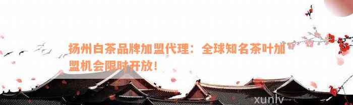 扬州白茶品牌加盟代理：全球知名茶叶加盟机会限时开放！