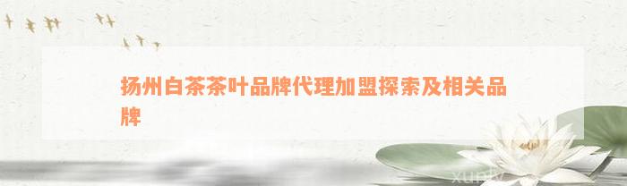 扬州白茶茶叶品牌代理加盟探索及相关品牌