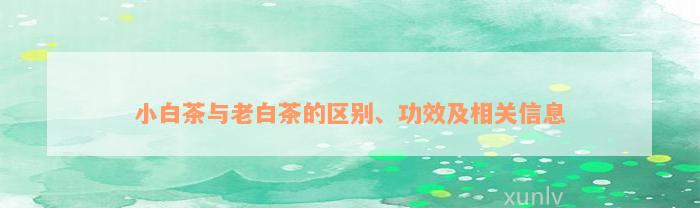 小白茶与老白茶的区别、功效及相关信息