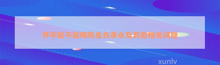 怀孕能不能喝陈皮白茶水及其他相关问题