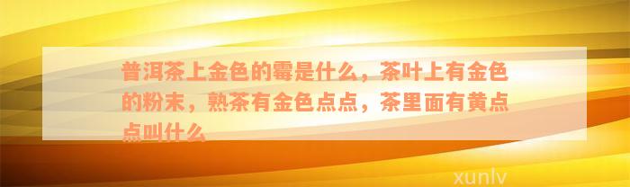 普洱茶上金色的霉是什么，茶叶上有金色的粉末，熟茶有金色点点，茶里面有黄点点叫什么