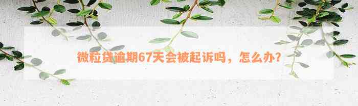 微粒贷逾期67天会被起诉吗，怎么办？