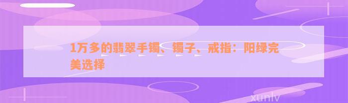 1万多的翡翠手镯、镯子、戒指：阳绿完美选择