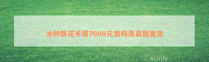 冰种飘花手镯7000元贵吗及真假鉴定