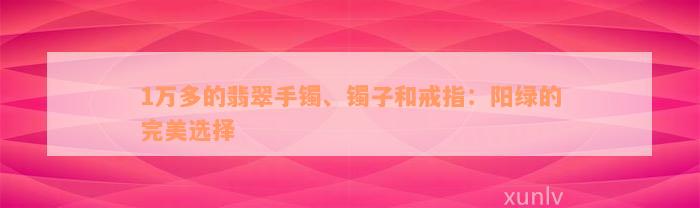 1万多的翡翠手镯、镯子和戒指：阳绿的完美选择