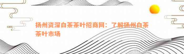 扬州资深白茶茶叶招商网：了解扬州白茶茶叶市场