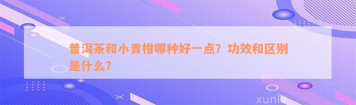 普洱茶和小青柑哪种好一点？功效和区别是什么？