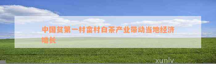 中国贫第一村畲村白茶产业带动当地经济增长
