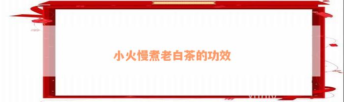 小火慢煮老白茶的功效