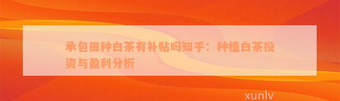 承包田种白茶有补贴吗知乎：种植白茶投资与盈利分析