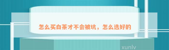 怎么买白茶才不会被坑，怎么选好的