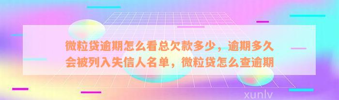 微粒贷逾期怎么看总欠款多少，逾期多久会被列入失信人名单，微粒贷怎么查逾期