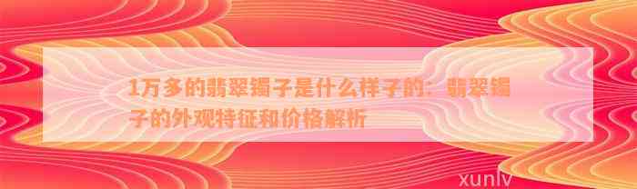 1万多的翡翠镯子是什么样子的：翡翠镯子的外观特征和价格解析