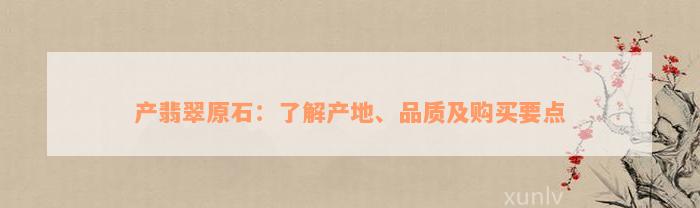 产翡翠原石：了解产地、品质及购买要点