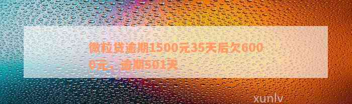 微粒贷逾期1500元35天后欠6000元，逾期501天