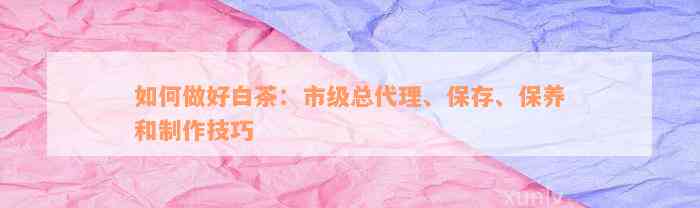 如何做好白茶：市级总代理、保存、保养和制作技巧