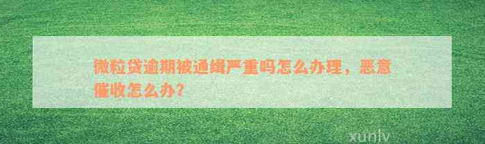 微粒贷逾期被通缉严重吗怎么办理，恶意催收怎么办？