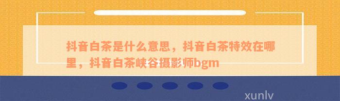 抖音白茶是什么意思，抖音白茶特效在哪里，抖音白茶峡谷摄影师bgm