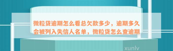 微粒贷逾期怎么看总欠款多少，逾期多久会被列入失信人名单，微粒贷怎么查逾期