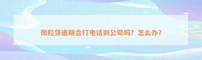 微粒贷逾期会打电话到公司吗？怎么办？