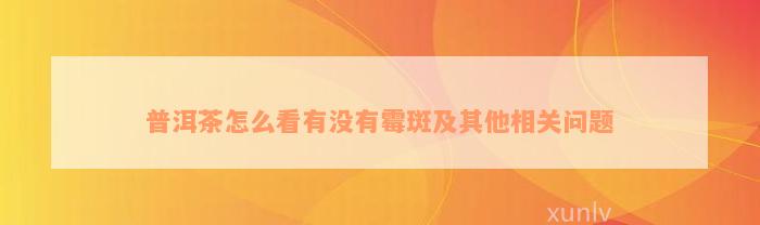 普洱茶怎么看有没有霉斑及其他相关问题