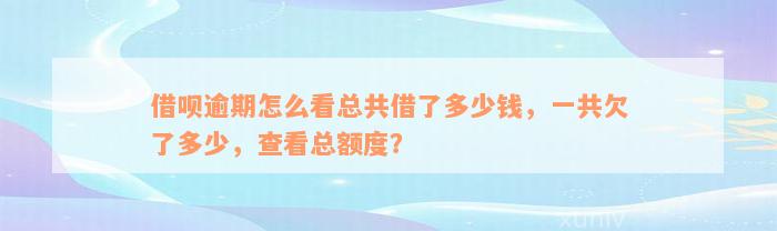 借呗逾期怎么看总共借了多少钱，一共欠了多少，查看总额度？