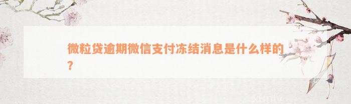 微粒贷逾期微信支付冻结消息是什么样的？