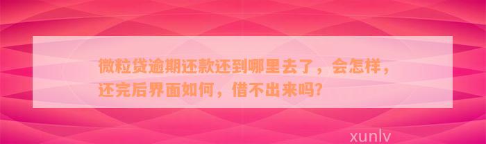 微粒贷逾期还款还到哪里去了，会怎样，还完后界面如何，借不出来吗？