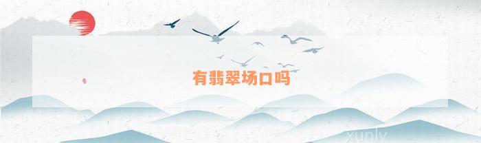 有翡翠场口吗