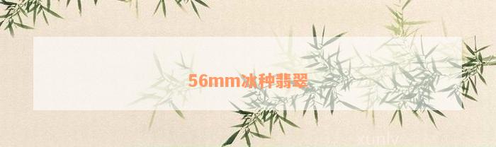 56mm冰种翡翠