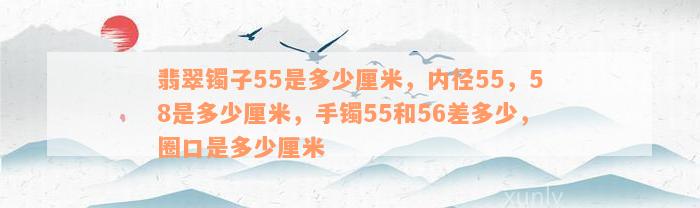 翡翠镯子55是多少厘米，内径55，58是多少厘米，手镯55和56差多少，圈口是多少厘米