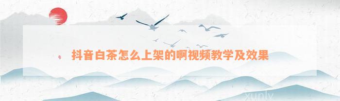 抖音白茶怎么上架的啊视频教学及效果