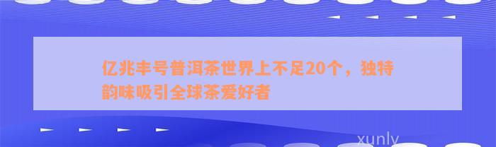 亿兆丰号普洱茶世界上不足20个，独特韵味吸引全球茶爱好者