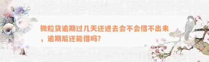 微粒贷逾期过几天还进去会不会借不出来，逾期后还能借吗？