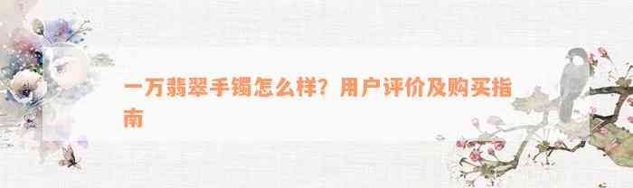 一万翡翠手镯怎么样？用户评价及购买指南