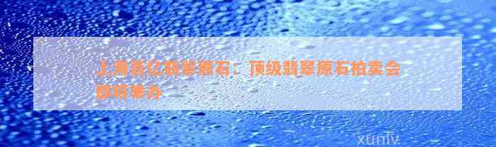 上海百亿翡翠原石：顶级翡翠原石拍卖会即将举办