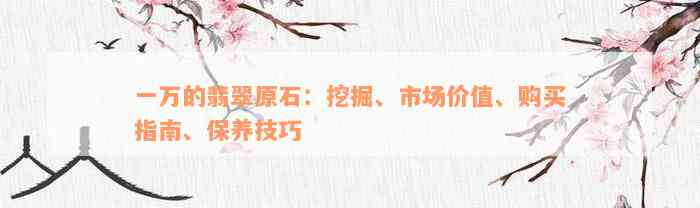 一万的翡翠原石：挖掘、市场价值、购买指南、保养技巧