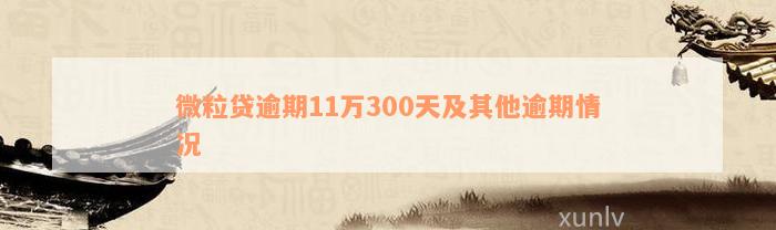 微粒贷逾期11万300天及其他逾期情况