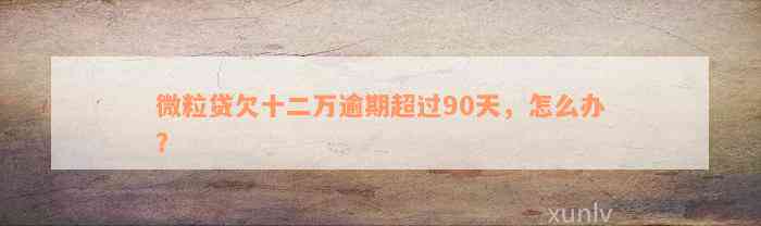 微粒贷欠十二万逾期超过90天，怎么办？